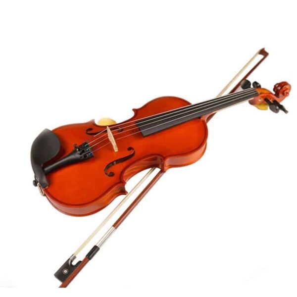 AVL-P01 Violin Beginner - Image 7