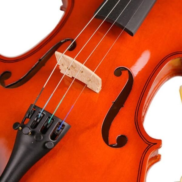 AVL-P01 Violin Beginner - Image 5