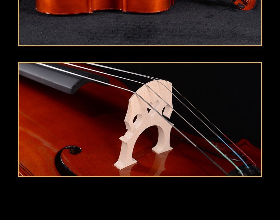 China Supplier Beginner cello