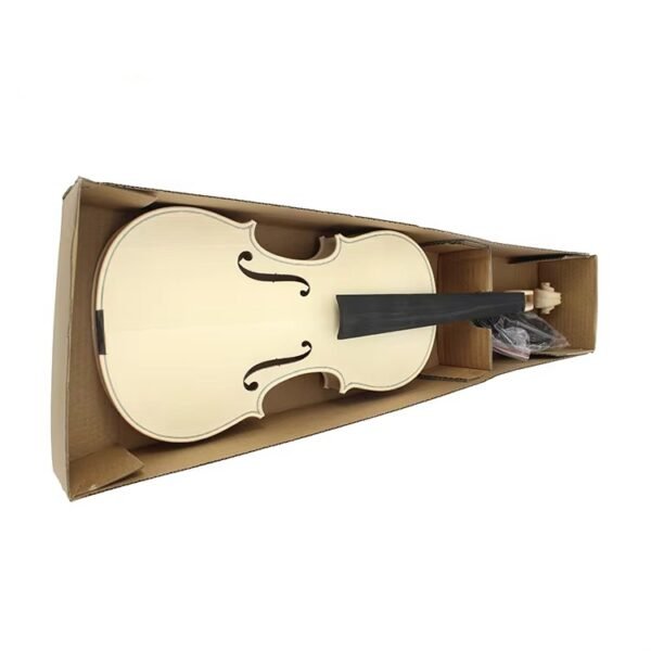 violin cost