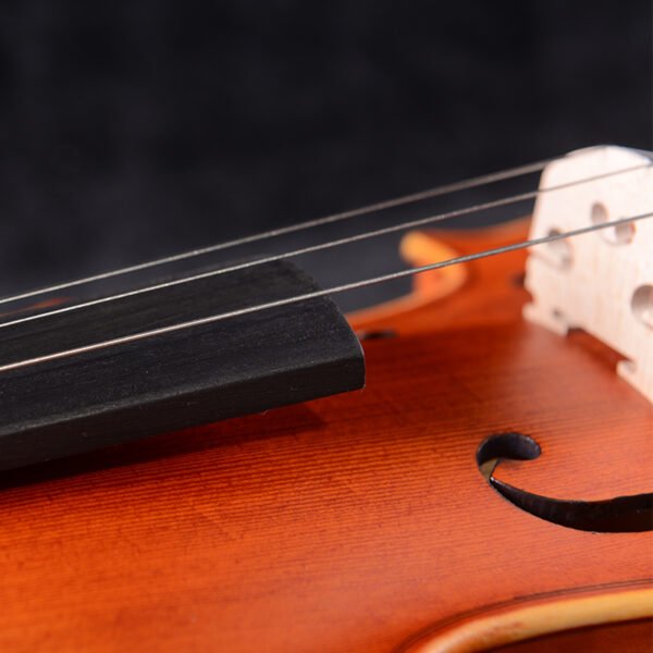 violin 4 4