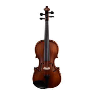 violin for adults