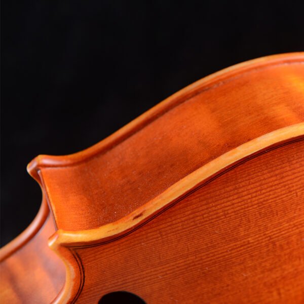 beautiful violin