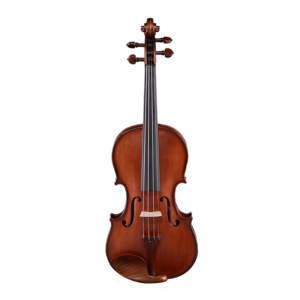 spruce top violin