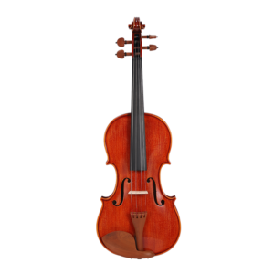 violin instrument