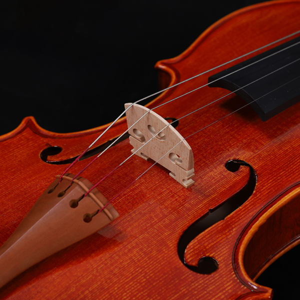 violin musical instrument