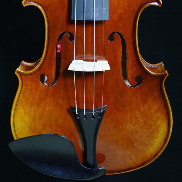 violin beginner