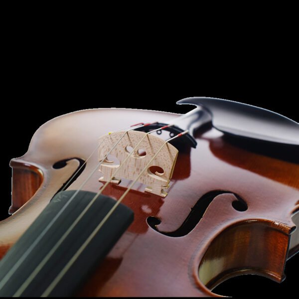 1 2 violin