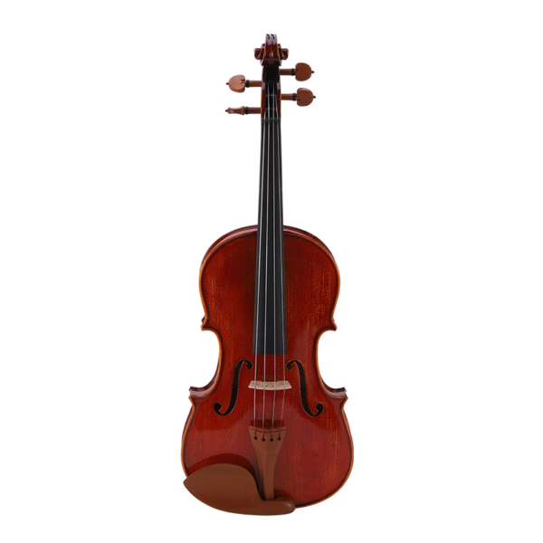 Viola purchase