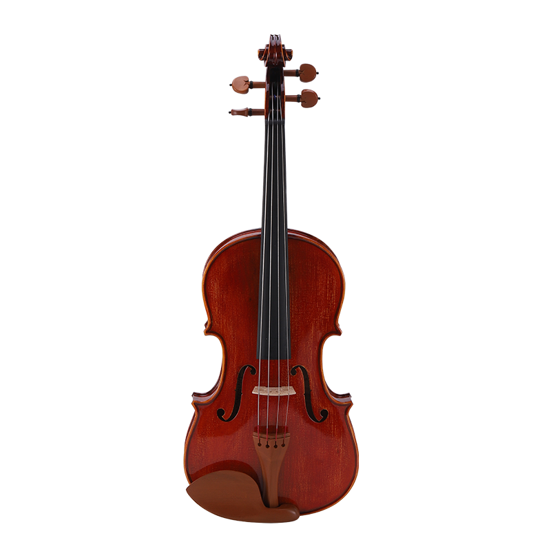 Viola purchase