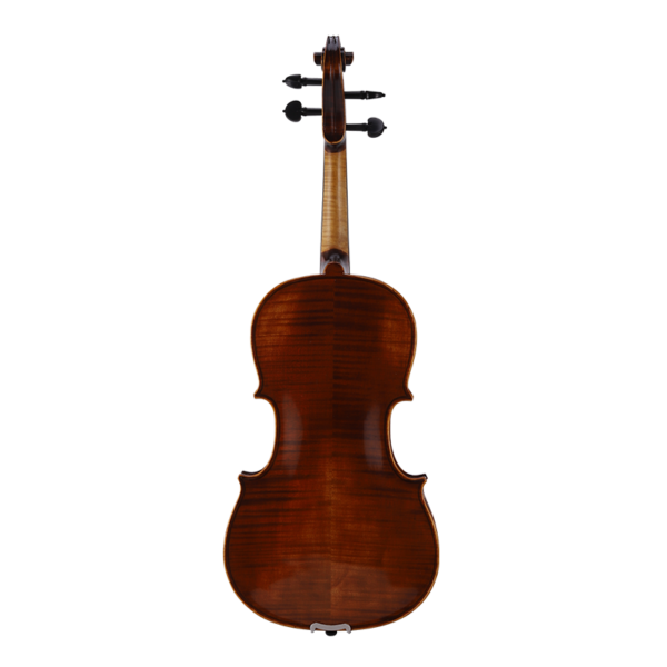 European Maple Viola