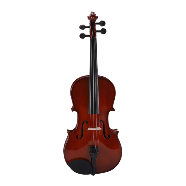 Beginner Viola