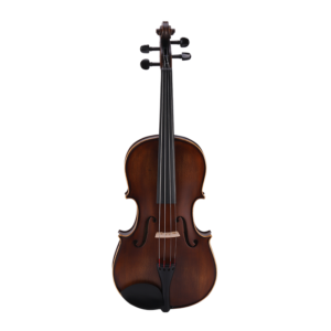 moderate viola