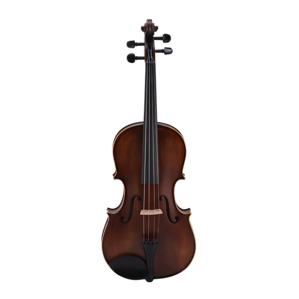 moderate viola