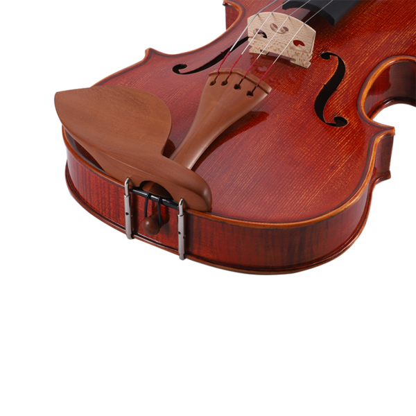 Viola china