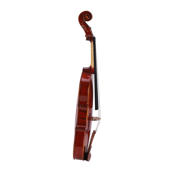 Viola wholesale