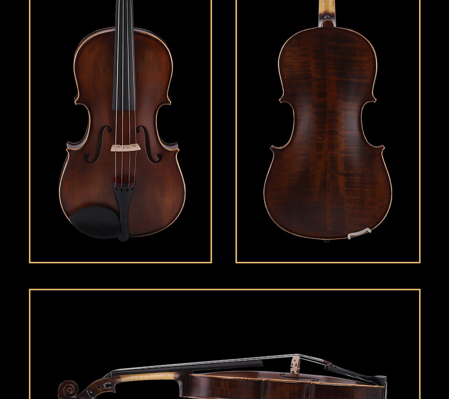 cost of viola