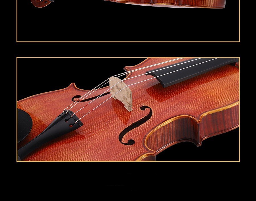 viola prices