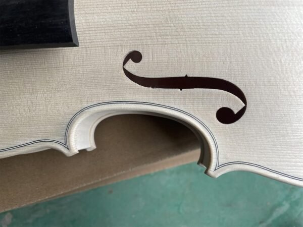 Unfinished DIY Violin