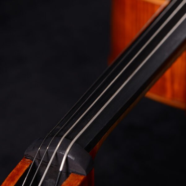 cello instrument parts​