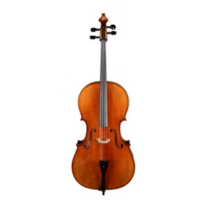 the instrument cello​