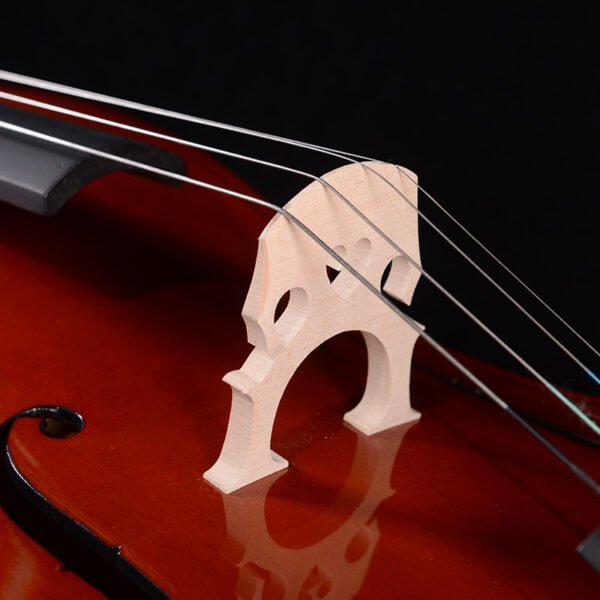 Intermediate Cellos
