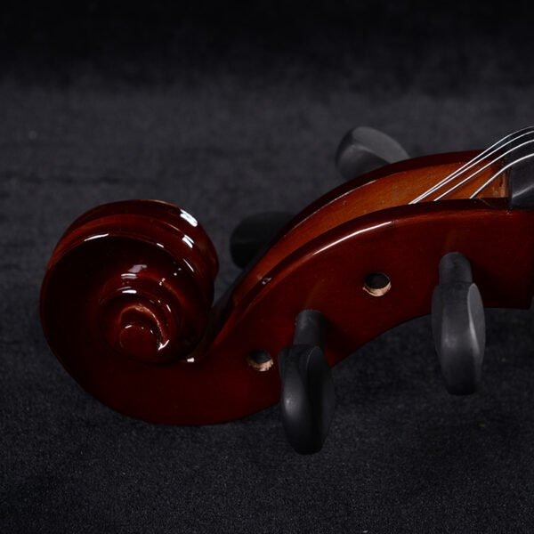 cello musical instrument