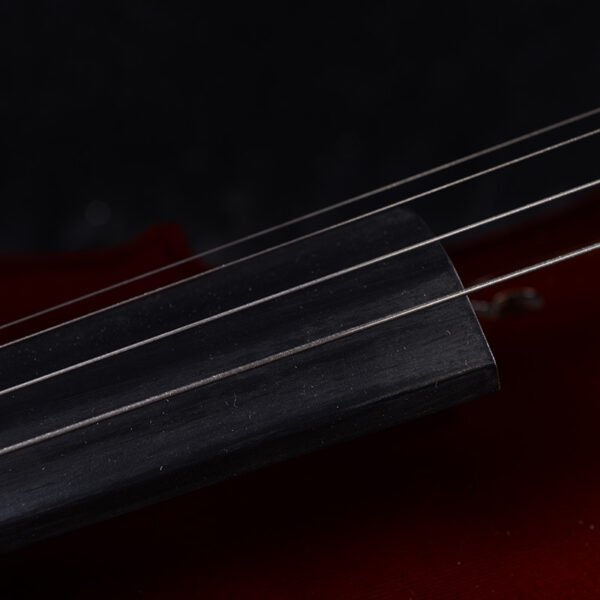 Student Cello