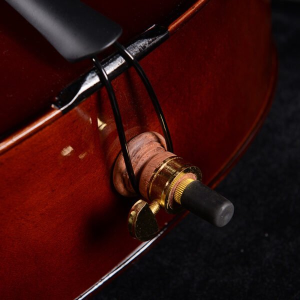 Intermediate Cellos
