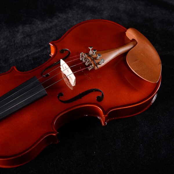 chinese violin instrument