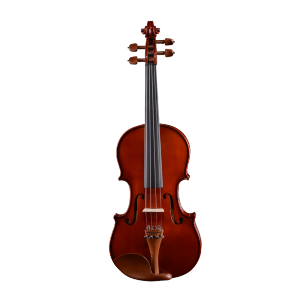 beginner violin instrument