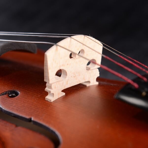 baroque violin