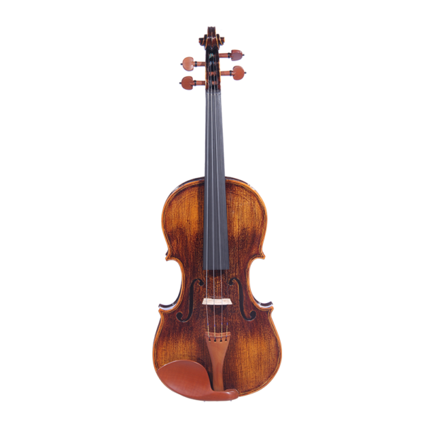 chinese violin instrument