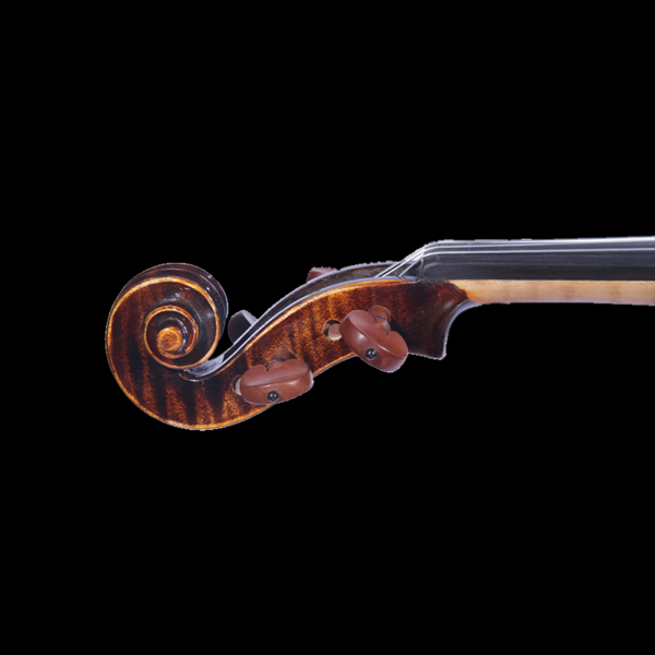 violins for sale