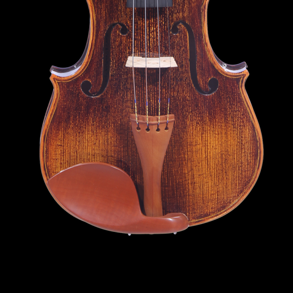 violin for beginners