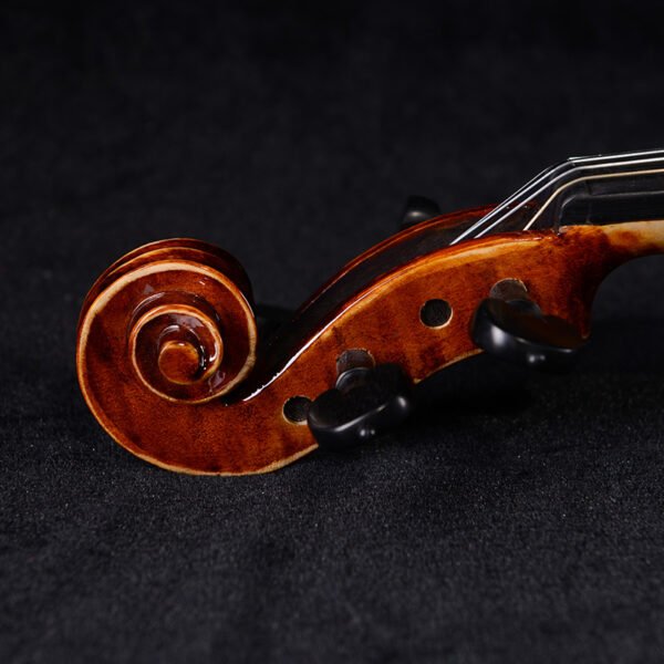 buy violin