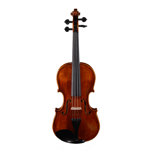 great beginner violin