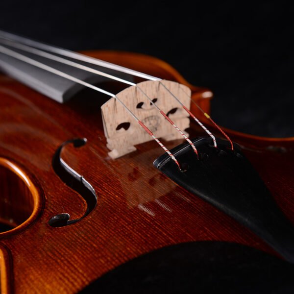 3/4 violin