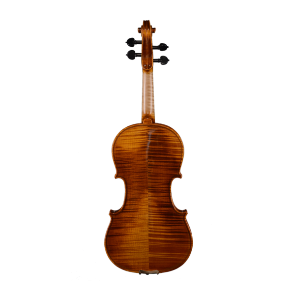 violin adults beginners