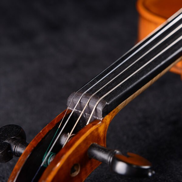 professional violins for sale