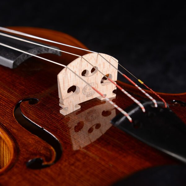 professional violins
