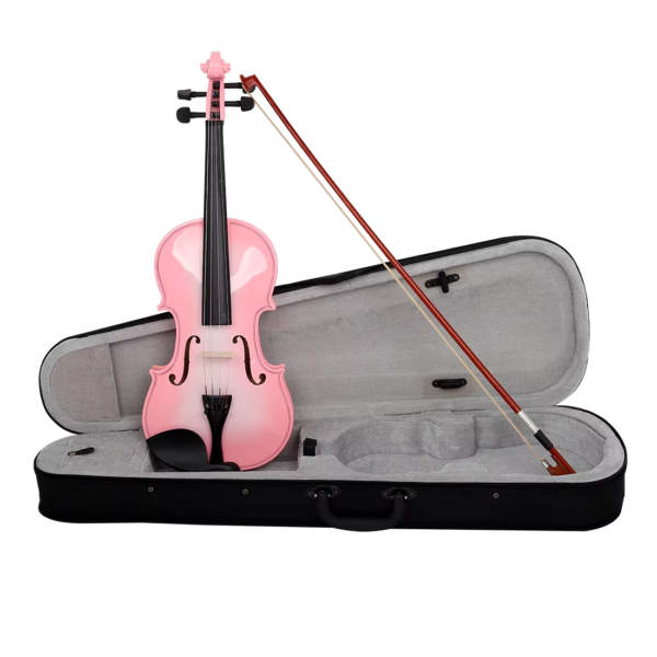 Beginners Violin Starter Kit with Hard Case