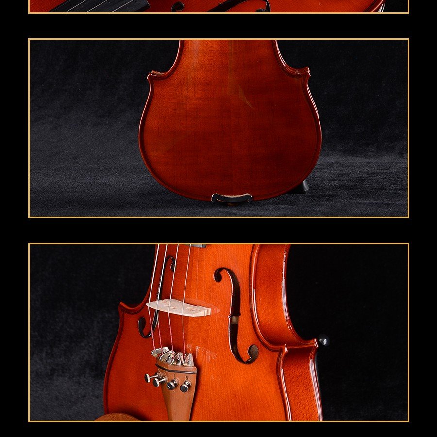 violin cost