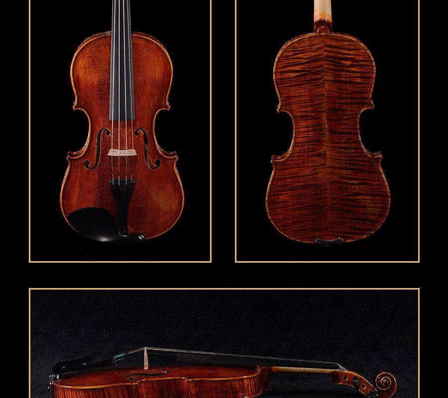 Details violins