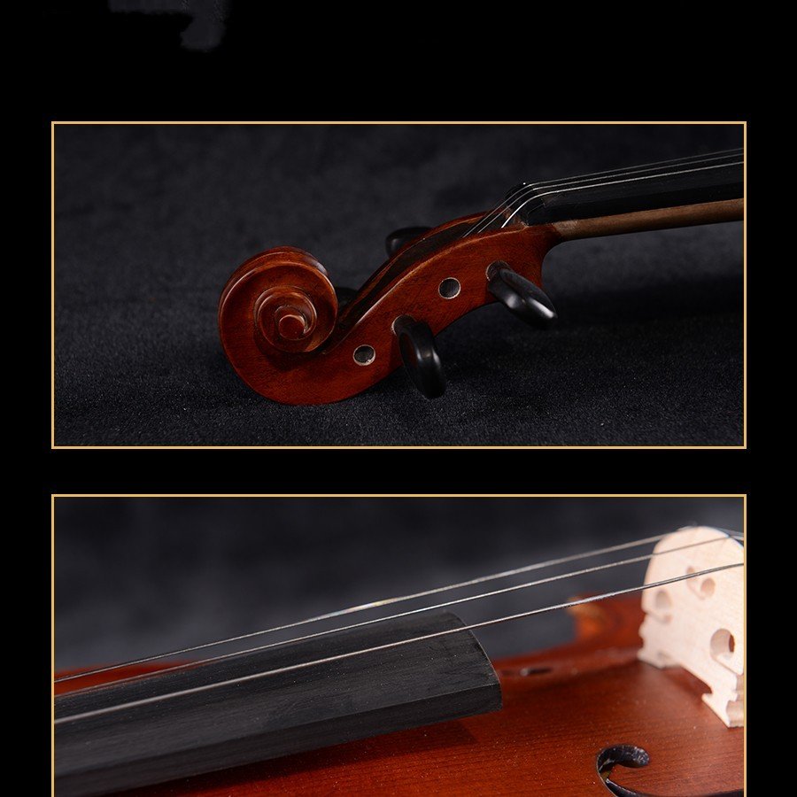 Ariose Music violin supplier