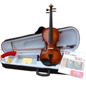 Ariose Violin