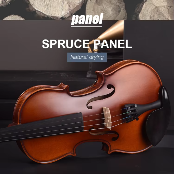 spruce violin instrument