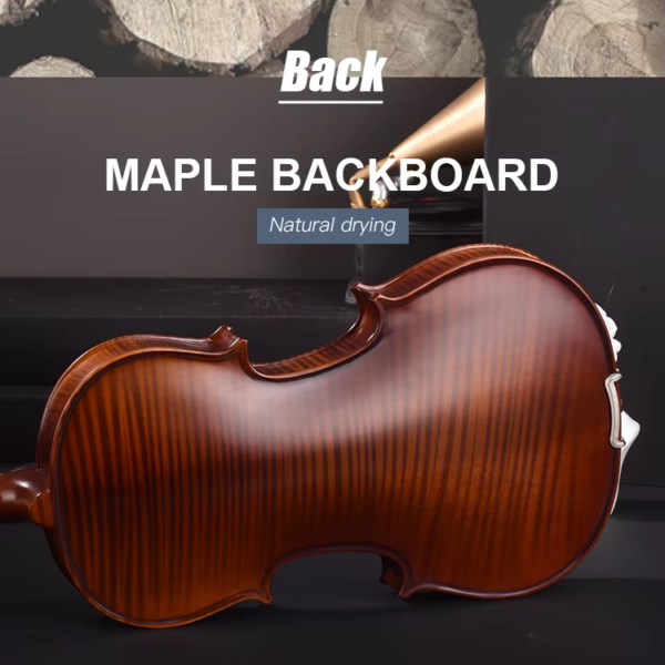 custom violin maker